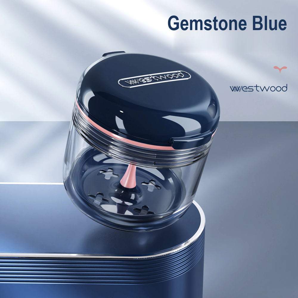 Gemstone Blue denture, aligner and retainer soaking case